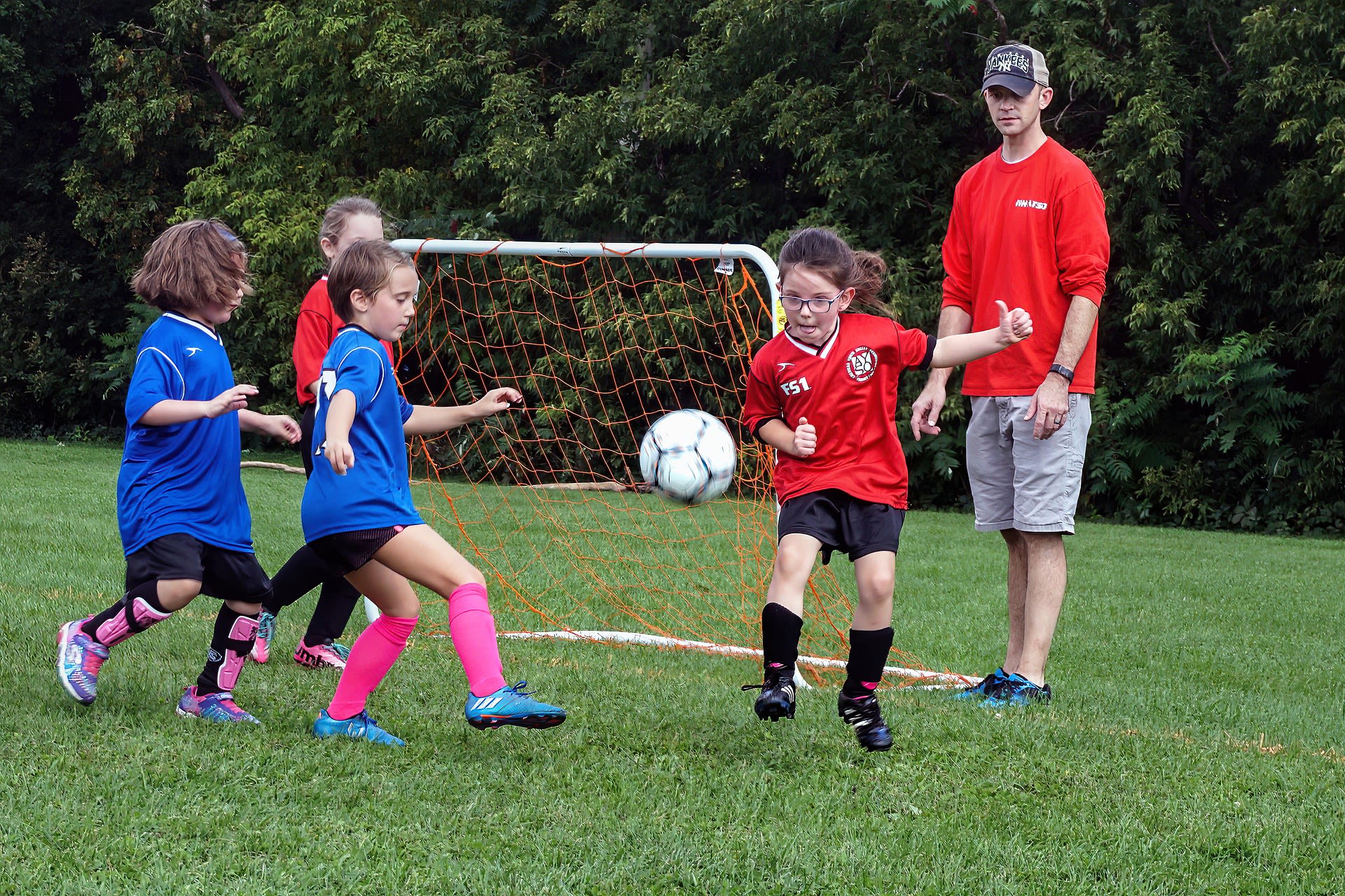 Image: FrancineSO321 via Pixabay